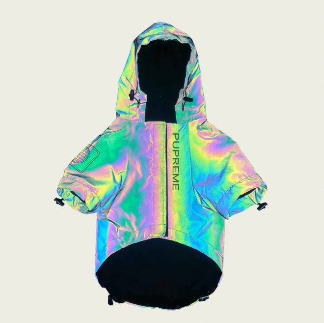 Reflective dog clothing